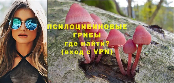 сатива Абдулино