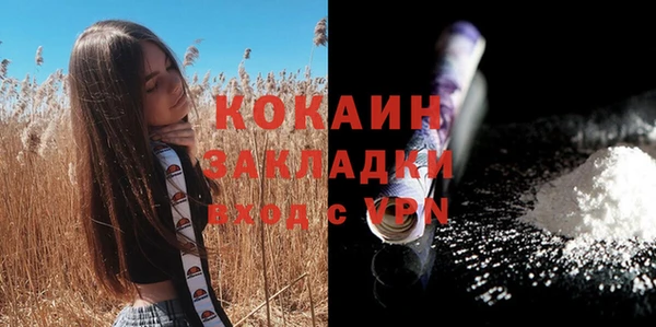 сатива Абдулино