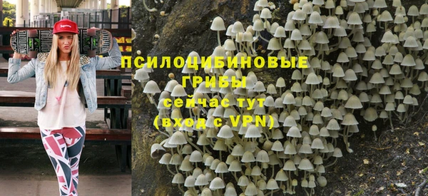 jwh Абаза