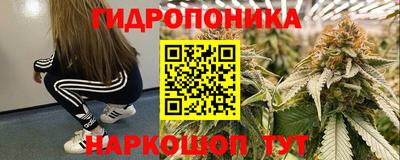 молекула духа Ливны
